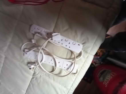 Photo of free Ganners (Loughborough LE11) #1