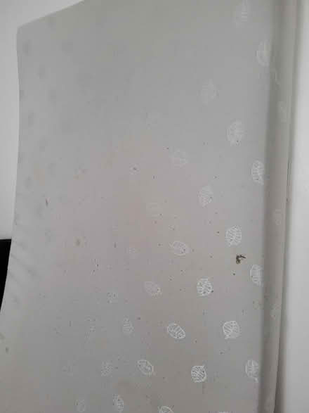 Photo of free Single foam mattress (Willesden NW10) #1