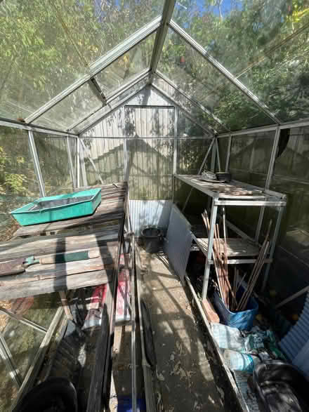 Photo of free Greenhouse (St Leonards TN38) #1