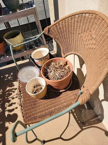 Photo of free Gardening Pots (San Rafael) #2