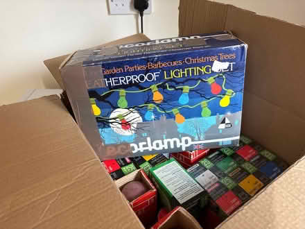 Photo of free Coloured lighting set and bulbs (outside) (Blean CT2) #1