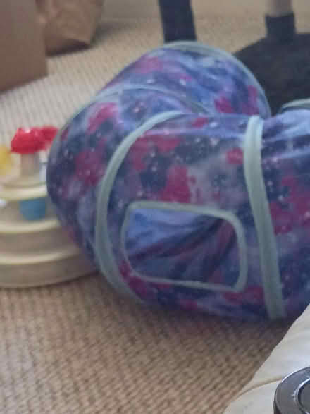 Photo of free Cat tunnel (7531 rising sun avenue) #1
