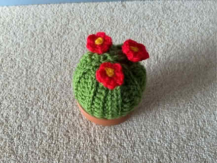 Photo of free Crochet ‘cactus’ in a mini terracotta pot (Cookham SL6) #2