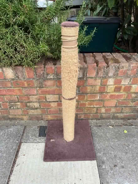 Photo of free Cat post (West Hampstead NW6) #1