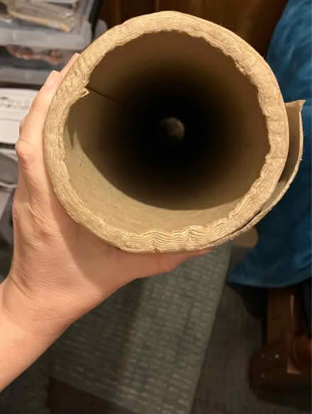 Photo of free ~1.5m cardboard tube - ferret toy? (Raynes Park SW20 9) #2