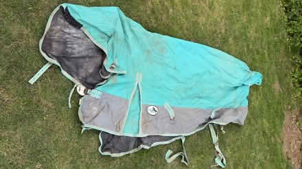 Photo of free Horse turnout rugs (Bassingbourn, SG8) #1