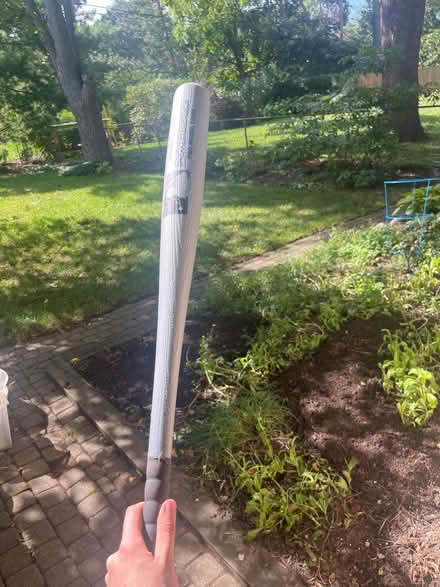 Photo of free Plastic bat (Royal Oak, MI) #1