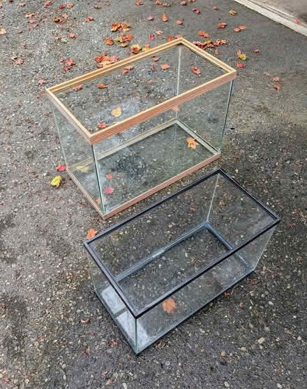 Photo of free fish tanks (not for fish) (Bellevue (Lakemont/Eastgate)) #1