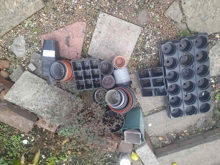 Photo of free Selection of plant pots and tray (Chesterfield, S41) #1