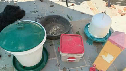 Photo of free Chicken waterer feeder and stuff (N Sycamore St & 11th St) #2