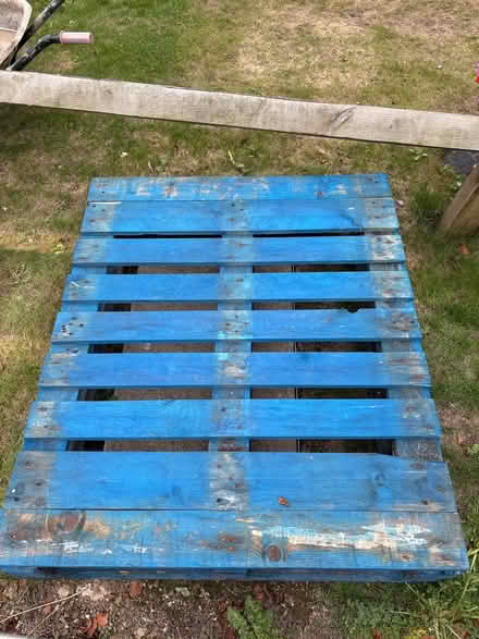 Photo of free Blue wooden pallet (East Street, South Molton) #1