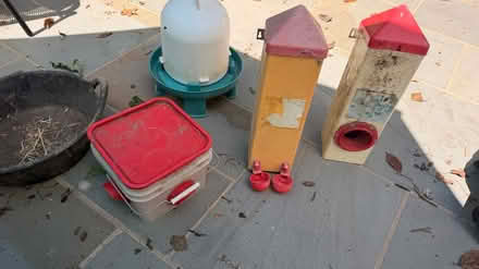 Photo of free Chicken waterer feeder and stuff (N Sycamore St & 11th St) #4