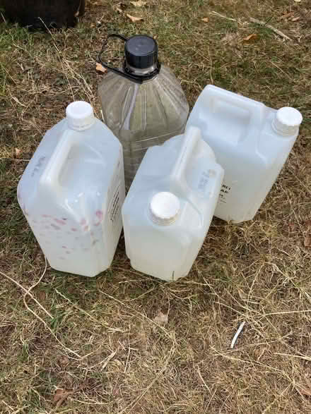 Photo of free Clean 5 litre plastic containers (Malvern Link WR14) #1