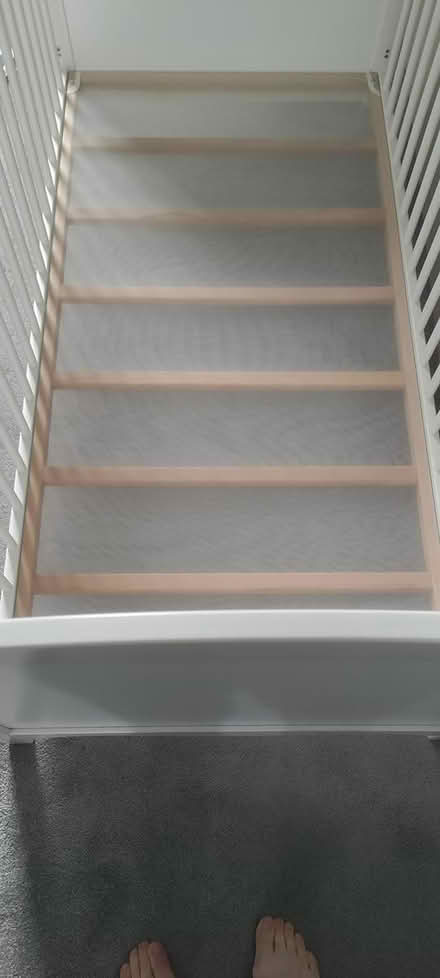 Photo of free Cot (Rathmines) #2