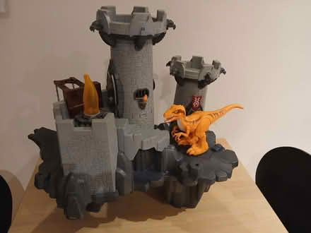 Photo of free Playmobil Castle & Dinosaurs (Abingdon, OX14.) #3
