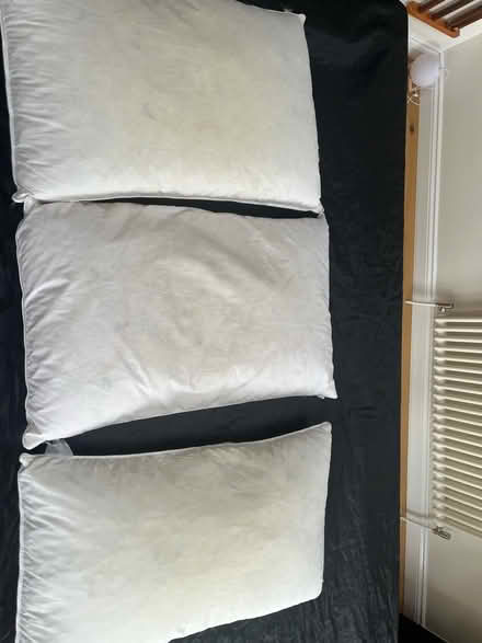 Photo of free Feather pillows (Weston Park BA1) #2
