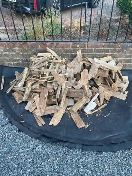 Photo of free Old dry wood (Kingston upon Thames, KT1) #1