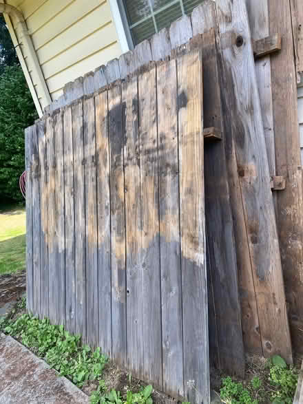Photo of free Fencing (Skyway) #1