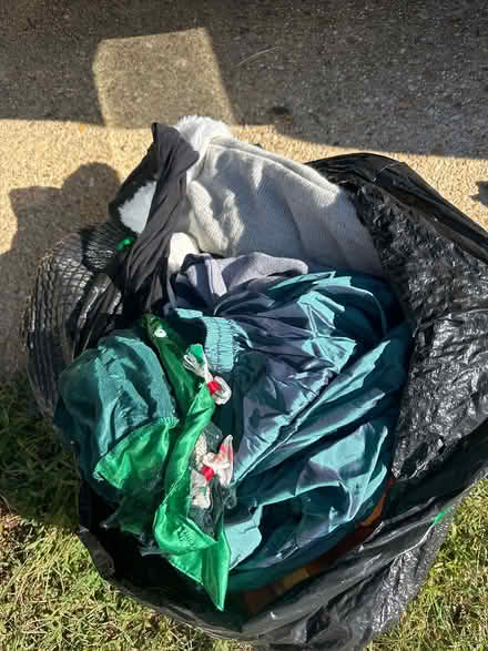 Photo of free Holiday clothing and decorations (Berwyn Heights) #1