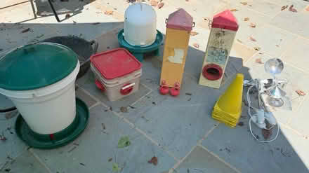 Photo of free Chicken waterer feeder and stuff (N Sycamore St & 11th St) #1