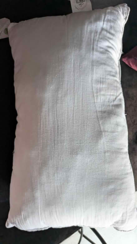 Photo of free Cushion insert (RG24 Old Basing) #1
