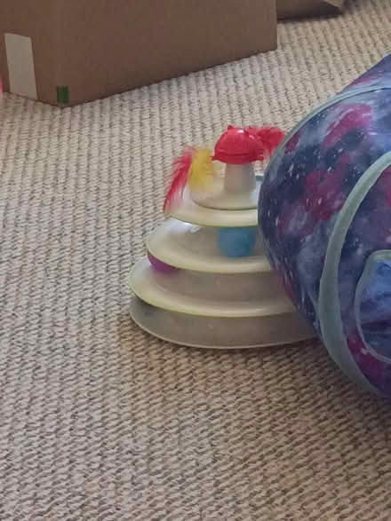 Photo of free Cat toy with spinning balls (7531 rising sun avenue) #1