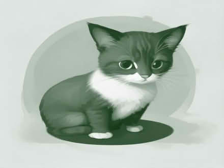 Photo of Supplies for my baby kitty Toulouse (Greenford UB6) #1