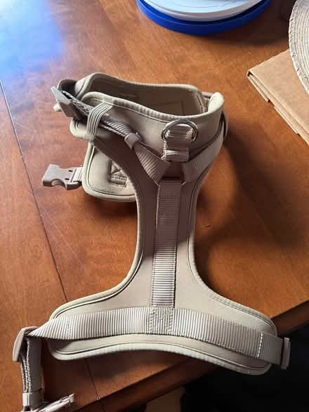 Photo of free Dog harness (Willow Glen/San Jose) #1
