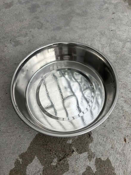 Photo of free Pet food/water bowl (North Hollywood) #2