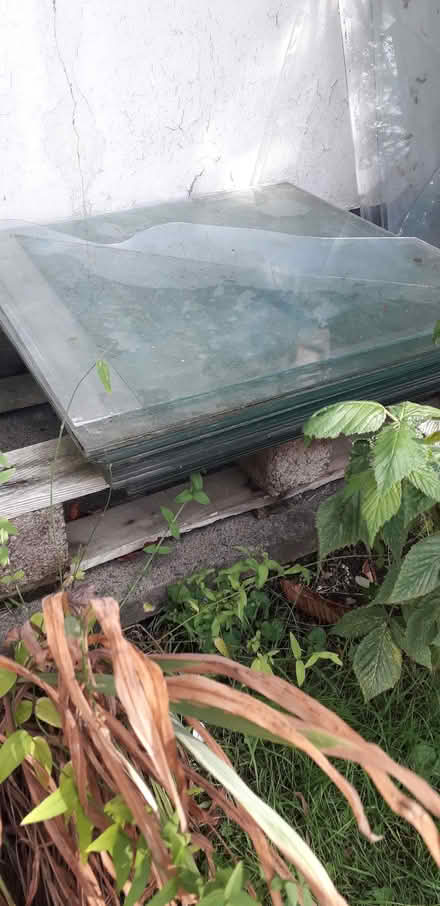 Photo of free Greenhouse Glass (Highters Heath B14) #1
