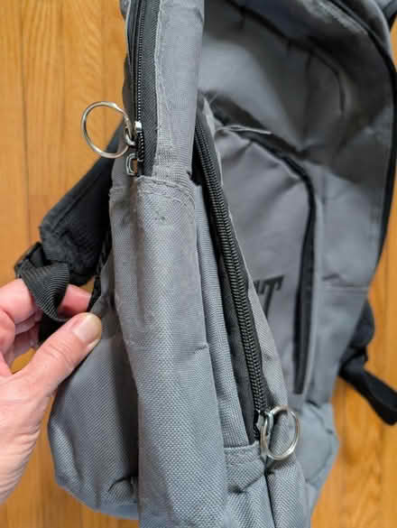 Photo of free Everlast backpack (Bloor St W & South Kingsway) #4