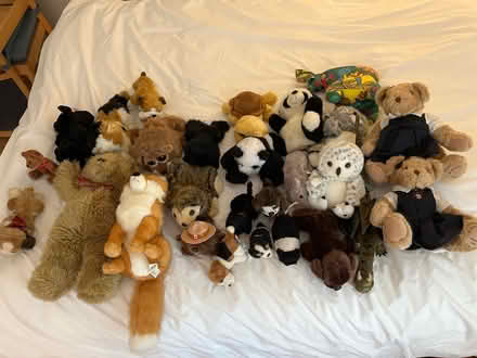 Photo of free Stuffed animals & soft dolls (New Edinburgh) #1