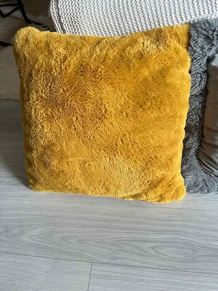 Photo of free Cushions (Carshalton SM5) #2