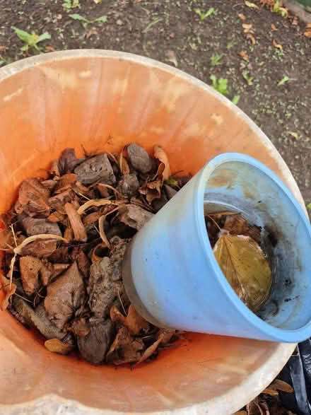 Photo of free Rubble and bricks (Hollinswood TF3) #2