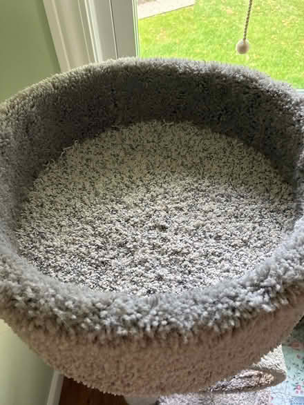 Photo of free Cat tree (48073) #3