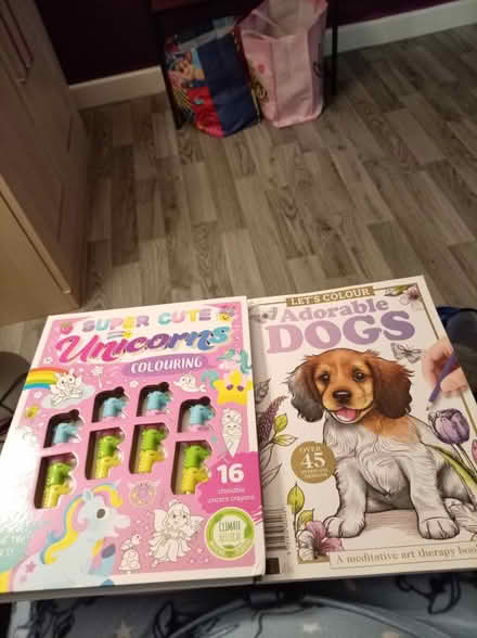 Photo of free 2X brand new colouring books (Worsborough S70) #1