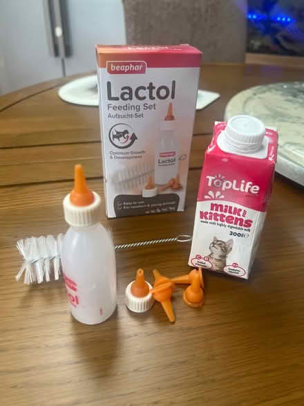 Photo of free Feeding set for kittens (borehamwood wd6) #1