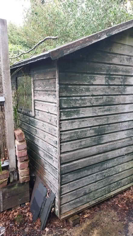 Photo of free Wooden Summer House (Flitton MK45) #3