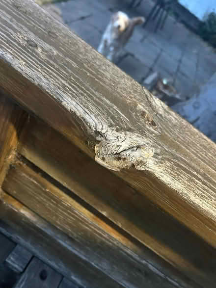 Photo of free Garden bed (Pill, BS20) #2