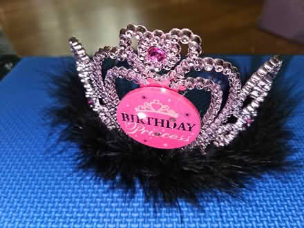 Photo of free Light up birthday tiara (Near the experimental farm) #2