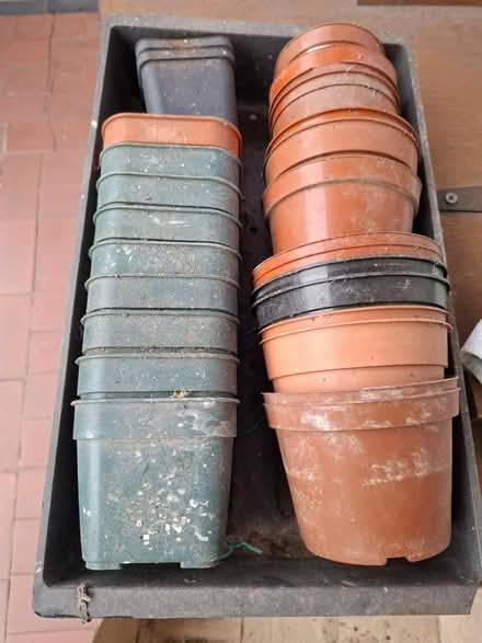 Photo of free Plastic flower pots (Uplands, Swansea SA2) #1