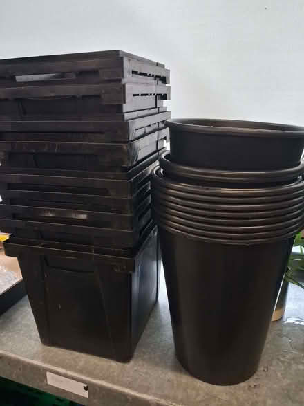Photo of free Flower buckets (Gobowen SY11) #1