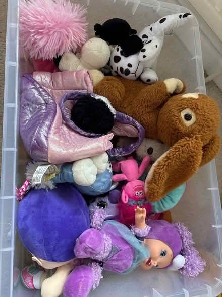 Photo of free Teddies (Scholes S61) #1