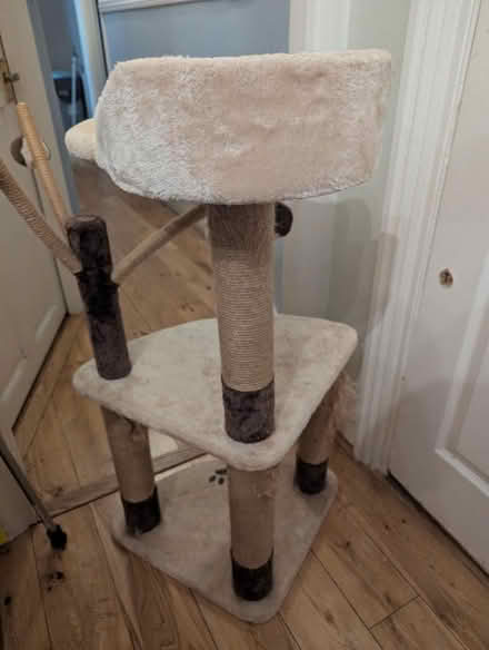 Photo of free Cat Tree (Woodside SE25) #2