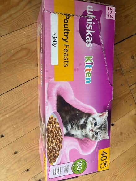Photo of free Kitten food (Ca15) #1