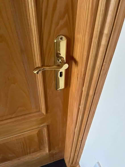 Photo of free Timber veneer solid core doors ( 610, 762, 840), brass (Keswick CA12) #3
