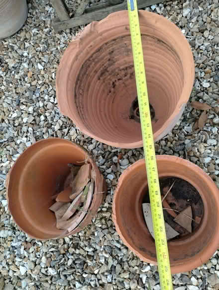Photo of free 3 terracotta pots (Burnham On Sea TA8) #2