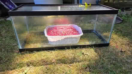 Photo of free Fish tank and rocks (Near tunxis College) #1