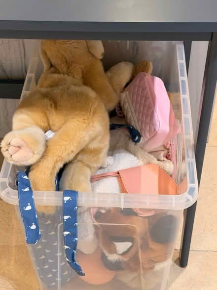 Photo of free Teddy bears and plush toys (Chelsea SW3) #1