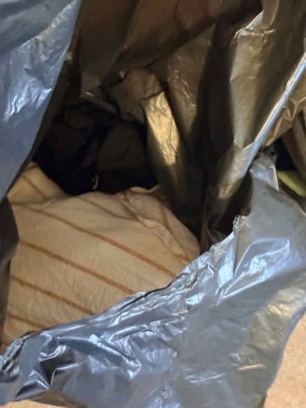 Photo of free 2 bags of used women clothes small (North Camp GU14) #2
